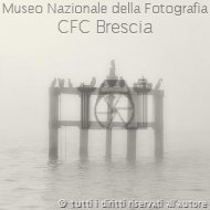 Alessandro Bacchetti Foggy Birds